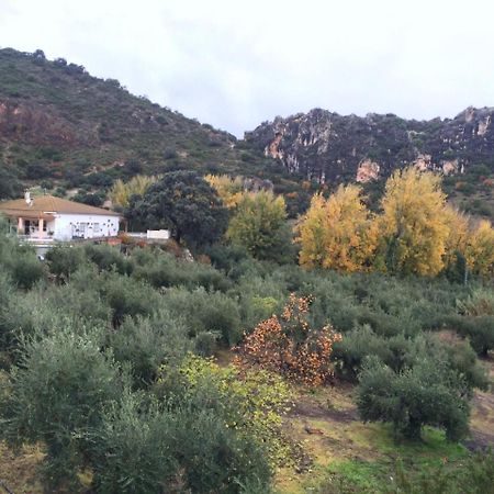 Villa La Quinta Priego de Córdoba Екстериор снимка
