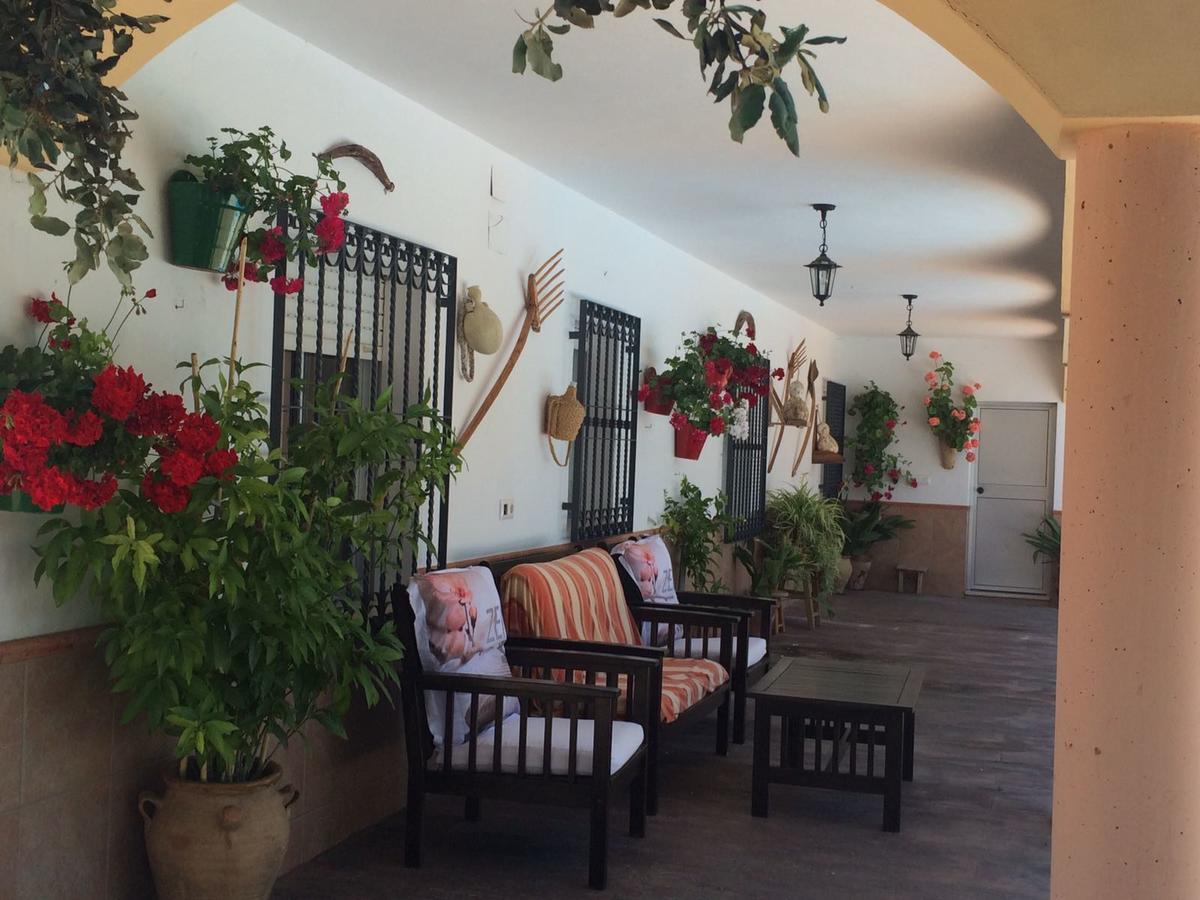 Villa La Quinta Priego de Córdoba Екстериор снимка