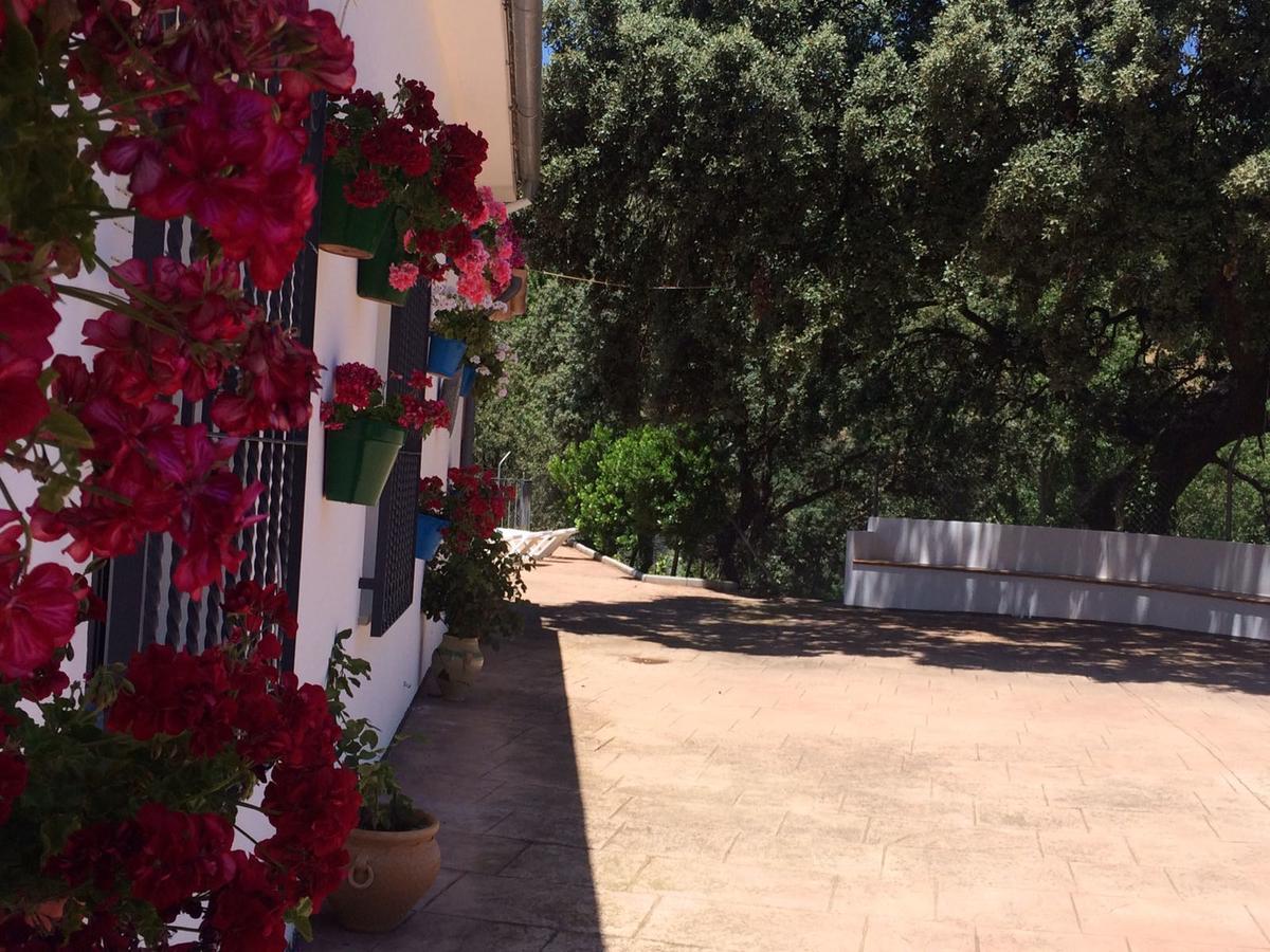 Villa La Quinta Priego de Córdoba Екстериор снимка