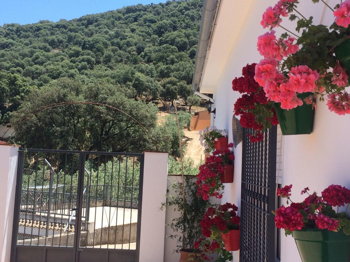 Villa La Quinta Priego de Córdoba Екстериор снимка