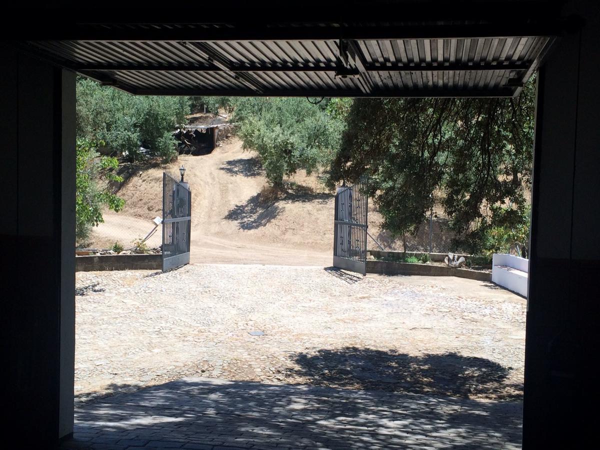 Villa La Quinta Priego de Córdoba Екстериор снимка