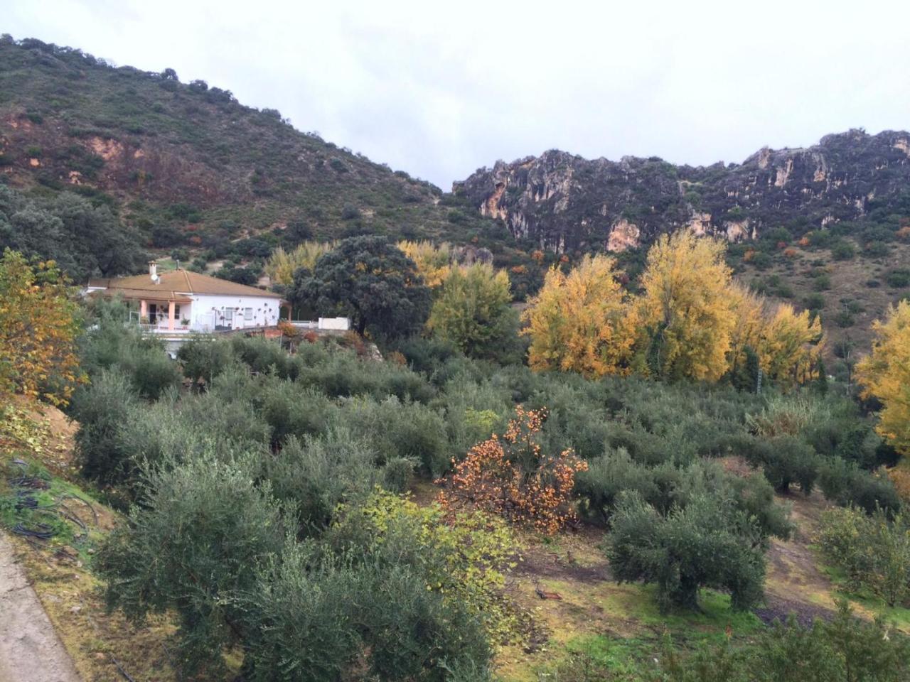 Villa La Quinta Priego de Córdoba Екстериор снимка